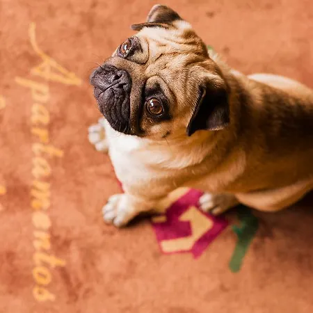 Séjour à la campagne Rurales L'abiseu *