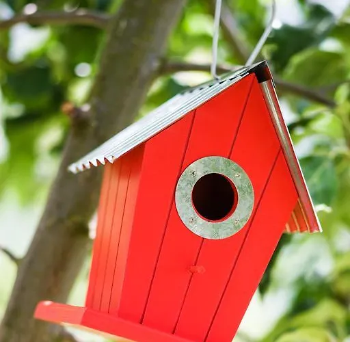 Séjour à la campagne Rurales L'abiseu